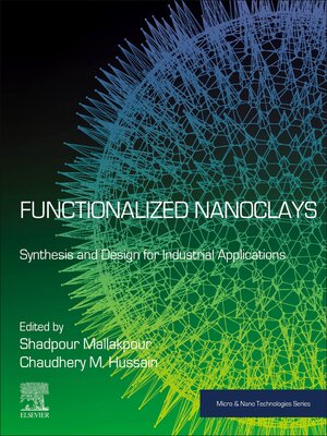 cover image of Functionalized Nanoclays